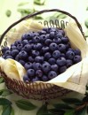 U.S. Blueberry Council

