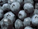 Simply Blueberries

